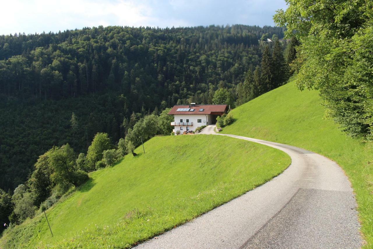 Ferienwohnung By Josef Lanzinger Bad Vigaun Exterior photo